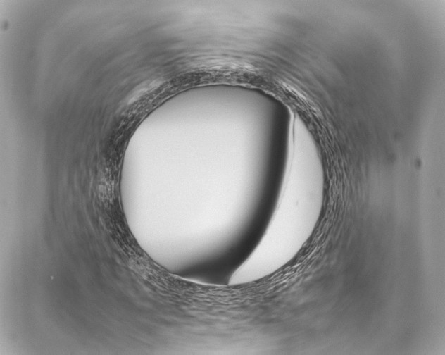 X0000086990869200704161150