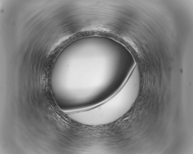 X0000086990872200704161150