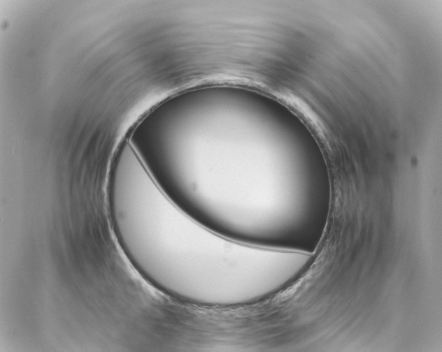 X0000086990902200704161150