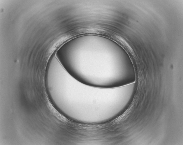 X0000086990938200704161149