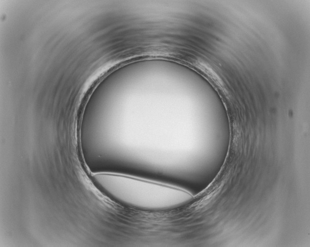 X0000086990939200704161149