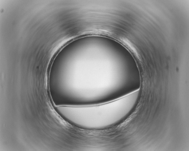 X0000086990940200704161149