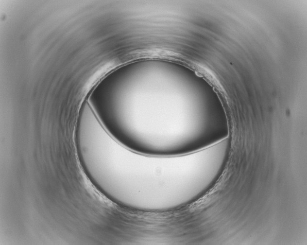 X0000086990946200704161149