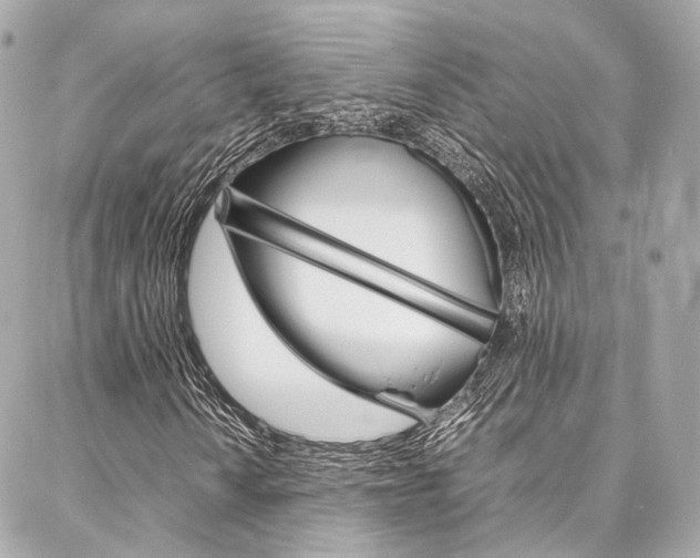X0000086991010200704161147