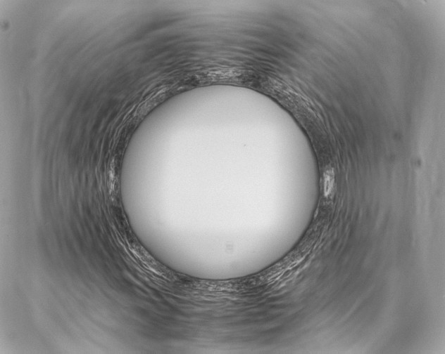 X0000086991011200704161147