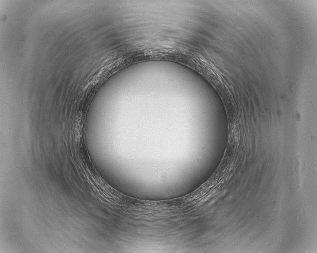 X0000086991012200704161147