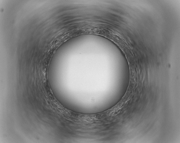 X0000086991013200704161147