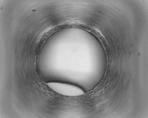 X0000086991016200704161147