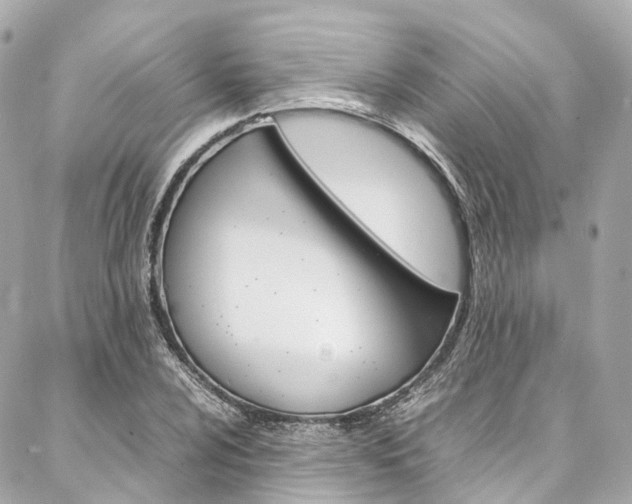 X0000086991024200704161148