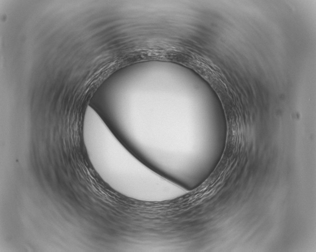X0000086991060200704161147