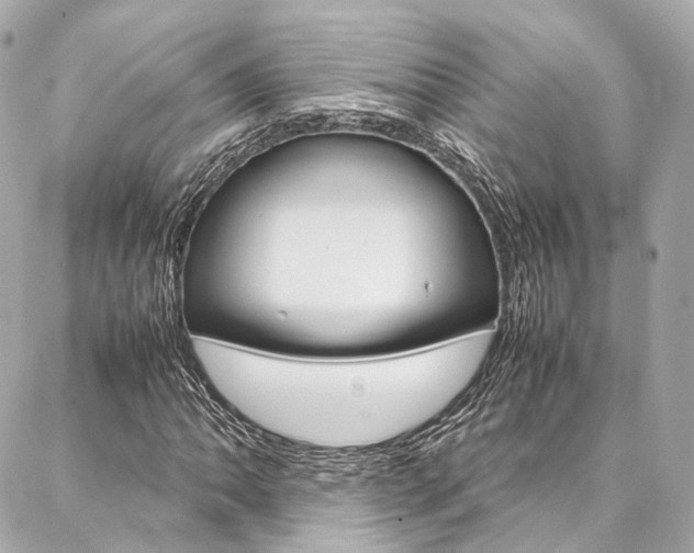 X0000086991062200704161147