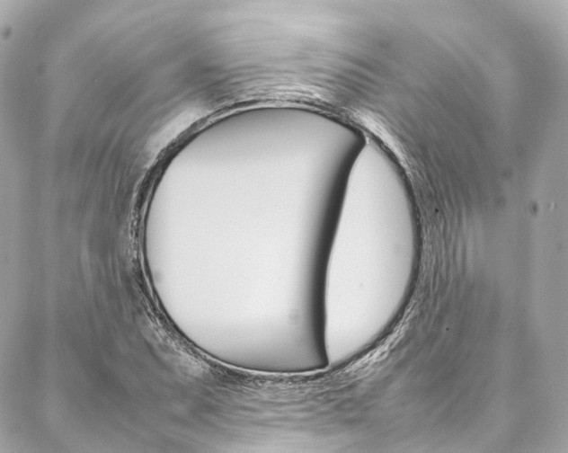 X0000086991071200704161147