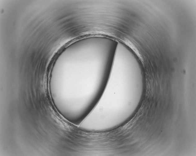 X0000086991076200704161147