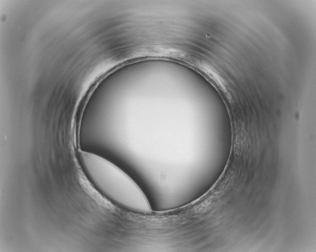 X0000086991080200704161147