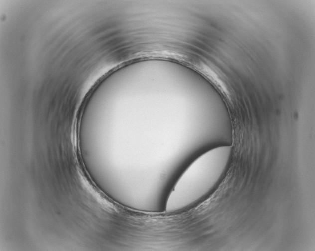 X0000086991084200704161147