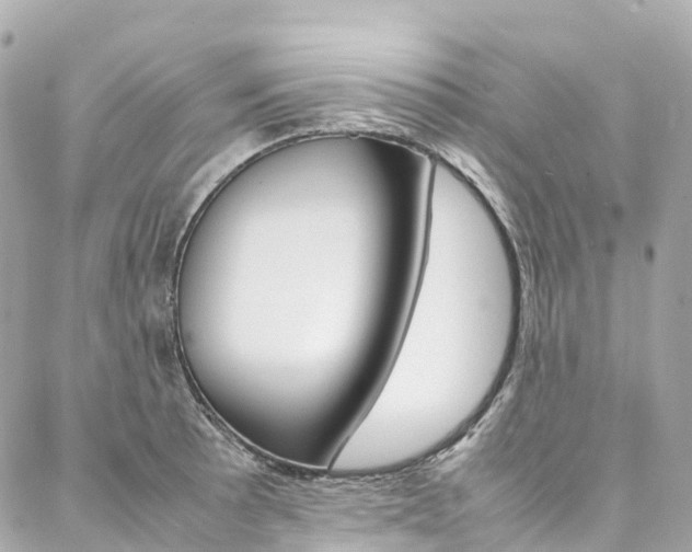 X0000086991089200704161147