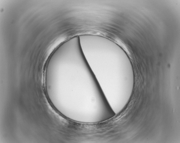 X0000086991095200704161147