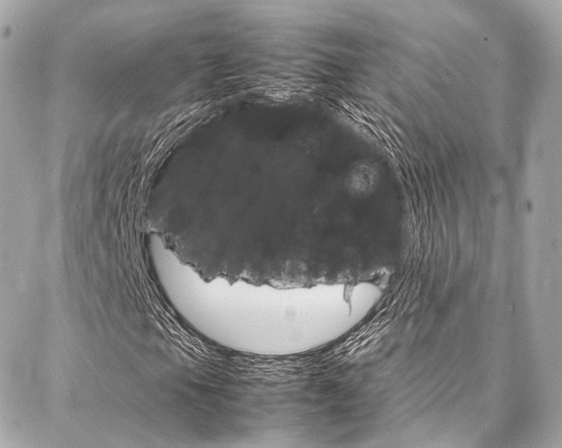 X0000086991105200704161146