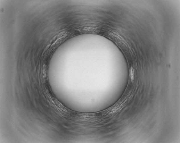 X0000086991107200704161146