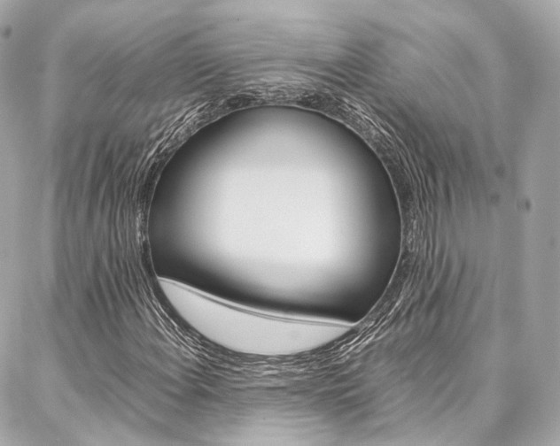 X0000086991108200704161146