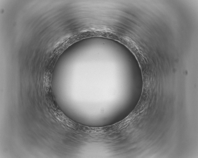 X0000086991110200704161146