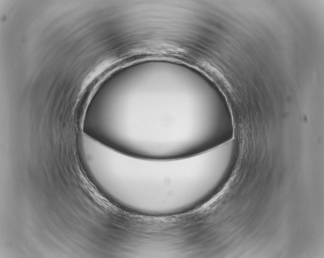 X0000086991114200704161146