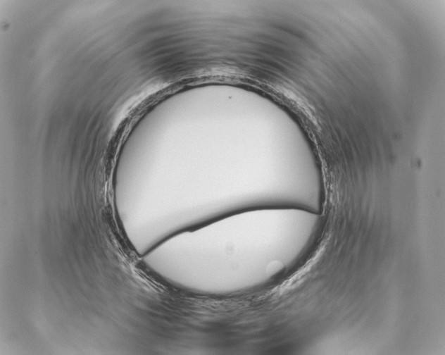 X0000086991117200704161146