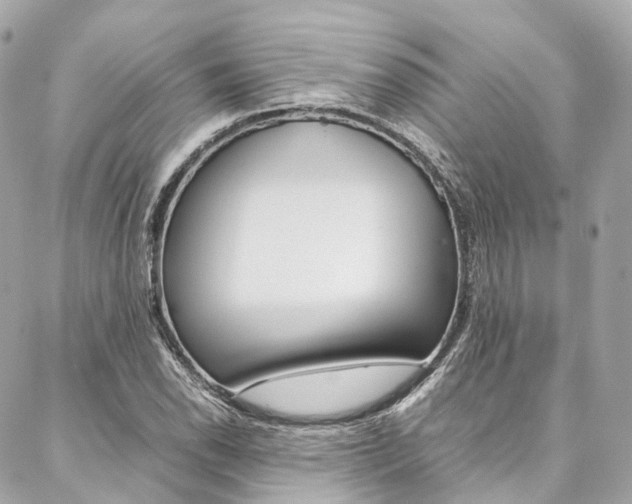 X0000086991118200704161146