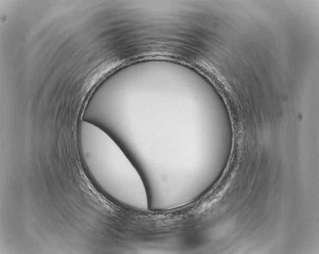 X0000086991121200704161146