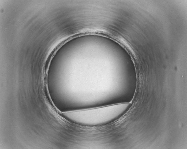 X0000086991124200704161146