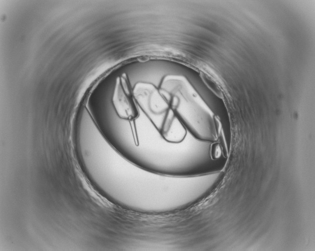 X0000086991128200704161146