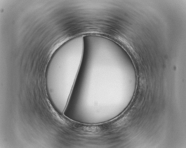 X0000086991129200704161146