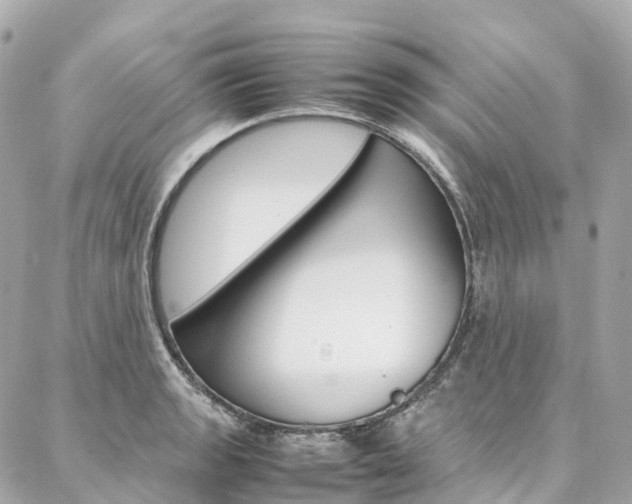 X0000086991133200704161146