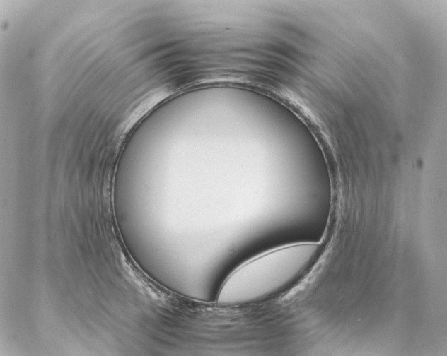 X0000086991137200704161146