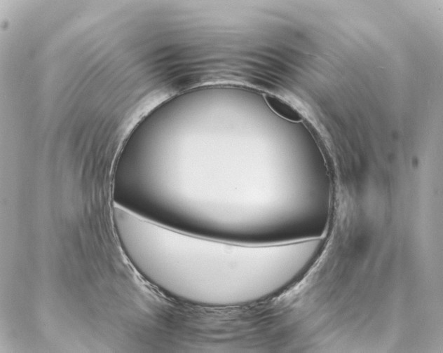 X0000086991145200704161146