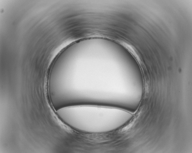 X0000086991149200704161146