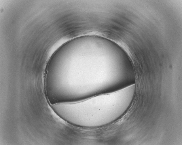 X0000086991151200704161146