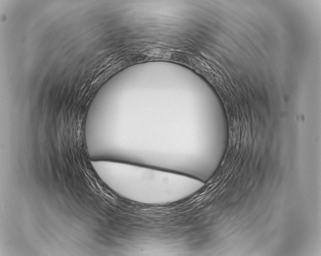 X0000086991154200704161146