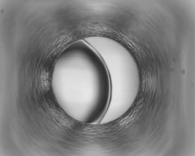 X0000086991156200704161146