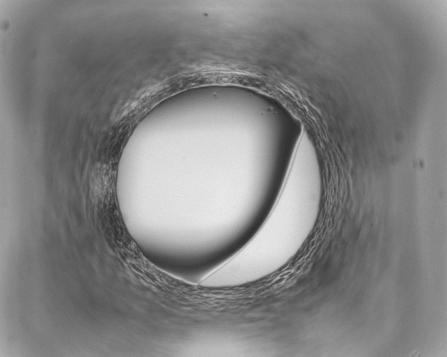 X0000086991157200704161146