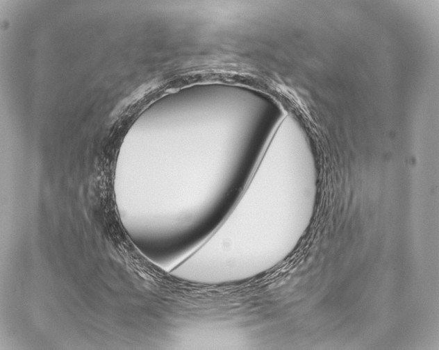 X0000086991159200704161146