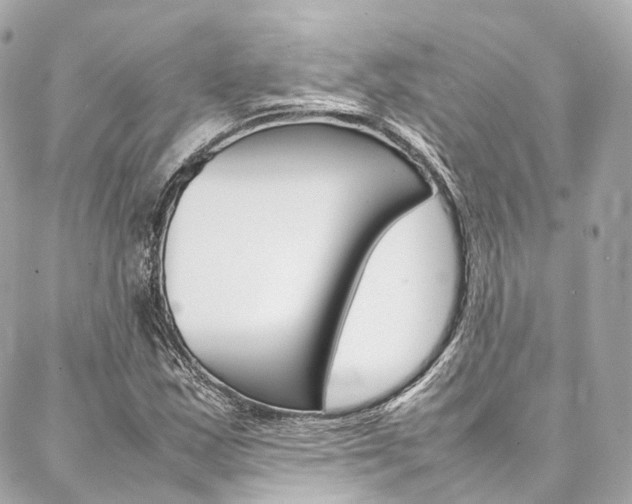 X0000086991163200704161146