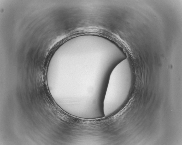 X0000086991166200704161145
