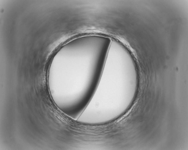 X0000086991167200704161145