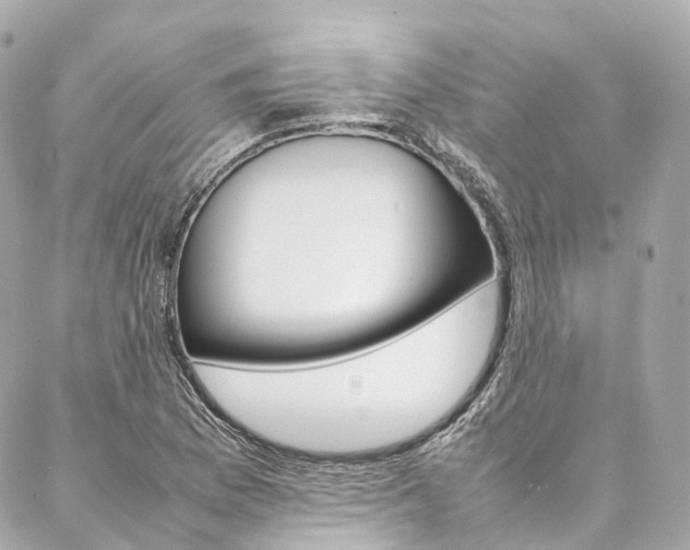 X0000086991169200704161145