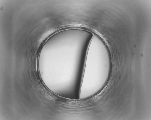 X0000086991171200704161145
