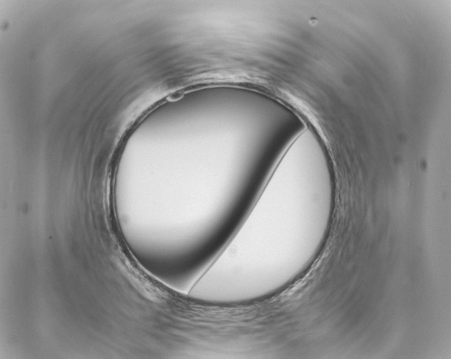X0000086991179200704161145