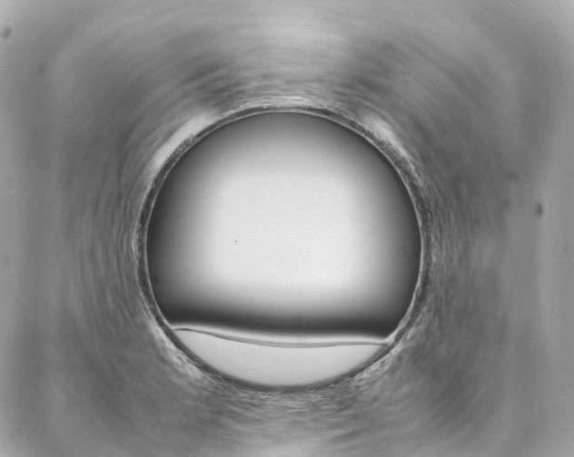 X0000086991181200704161145