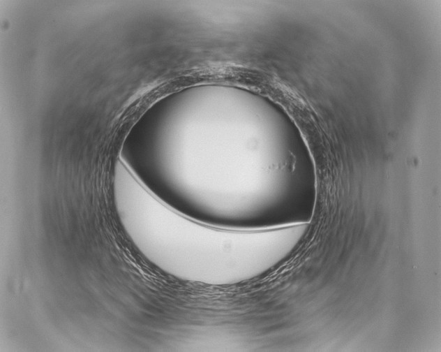 X0000086991206200704161144