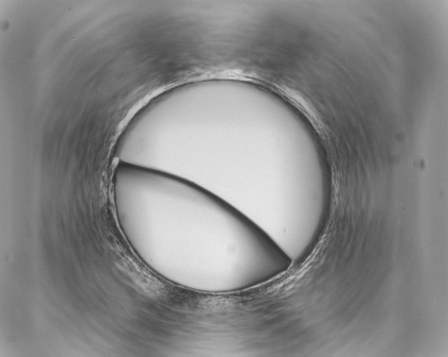 X0000086991212200704161144